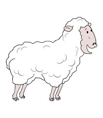 funny sheep draw