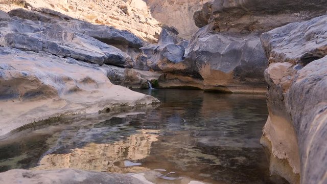 Tranquil oasis landscape scene in the countryside of the Sultanate of Oman.