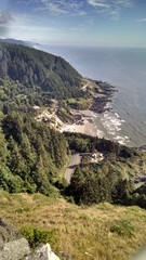 Organ Coast