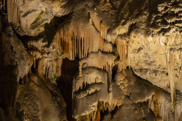 Postojna Cave, Slovenia