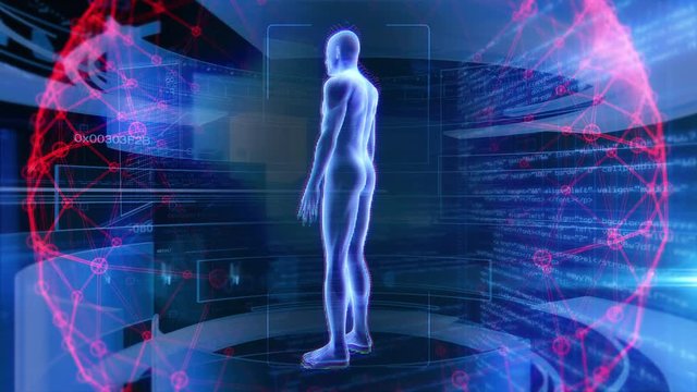 Human Male Anatomy 3D Animation Biology Science Technology