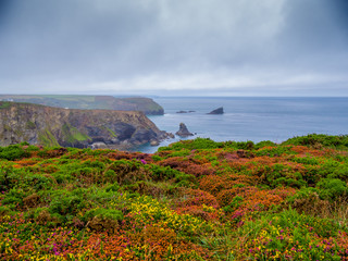The Cornish Coast at Portreath in Cornwall England