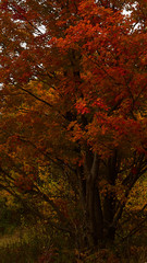 The changing of the seasons