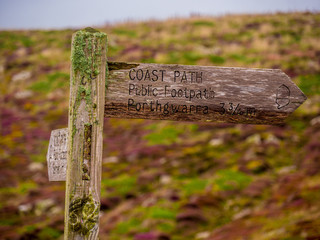 Coast Path at Lands End Cornwall