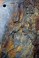 Poconos Mountains, Pennsylvania, USA: Close-up of the veins in a weathered rock forming abstract designs with rough textures.