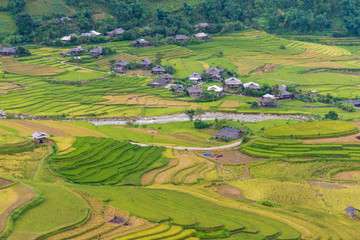 Fototapeta na wymiar Mu Cang Chai terraces rice field in harvest season