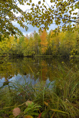 September landscape near the forest lake in the autumn day