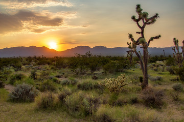 Fototapeta na wymiar Smokey Haze Sunset - California Desert Sun