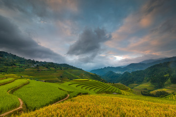 Mu Cang Chai terraces rice fields in harvest season