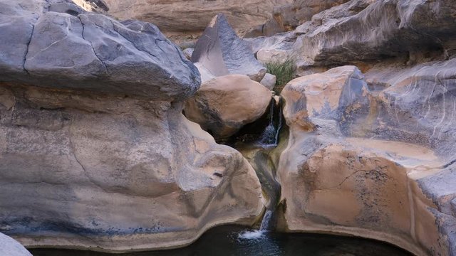 Tranquil oasis landscape scene in the countryside of the Sultanate of Oman.
