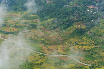 Mu Cang Chai terraces rice fields in harvest season