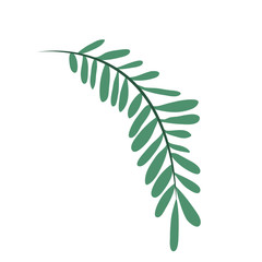 beautiful leaf plant icon