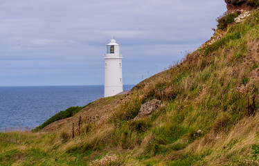 Fototapeta na wymiar Lighthouse at the Coast of Cornwall in England