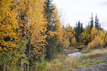 北欧の旅紅葉と川