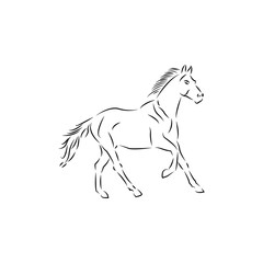Naklejka na ściany i meble horse logo icon design template vector
