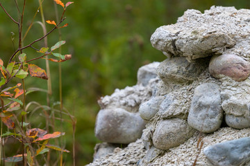 stones in garden