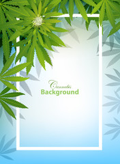 green cannabis leaf drug marijuana herb Background.