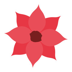 beautiful flower isolated icon