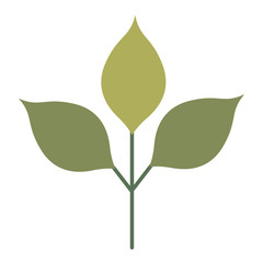 branch with leafs isolated icon