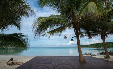 palm trees on the beach on Koh Kood island.