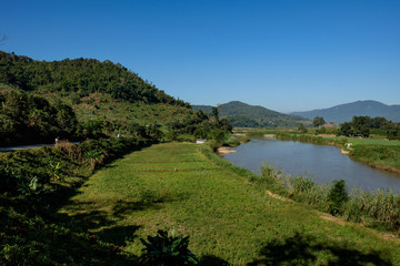 Fototapeta na wymiar Beautiful nature in Chiang Rai, Thailand.