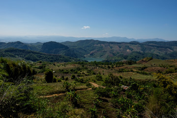 Obraz premium Beautiful nature in Chiang Rai, Thailand.