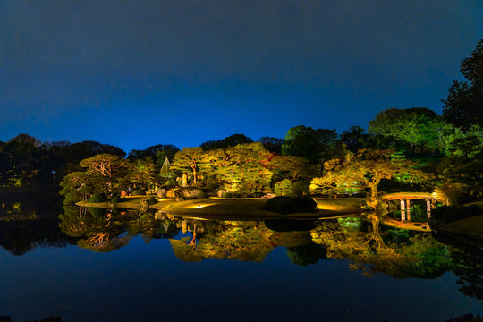 reflection of trees in water