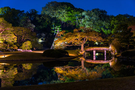 bridge in the park
