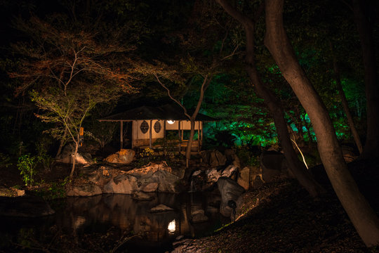 house in the jungle