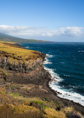 Fototapeta premium Rocky Hawaiian Coastline with Waves