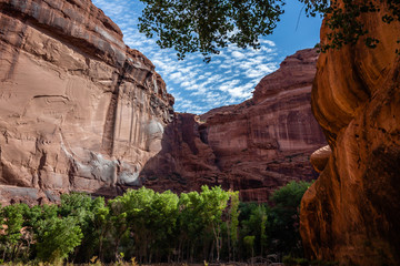 The sandstone cliffs of Canyon de Chelly National Monument are adorned with desert varnish creating a rich tapestry of designs.