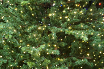 Close up on Christmas tree with light - Powered by Adobe