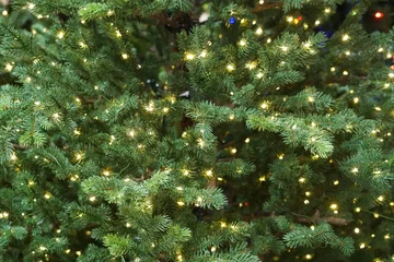 Gardinen Close up on Christmas tree with light © nd700