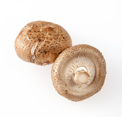 Fresh Shiitake mushrooms on white background