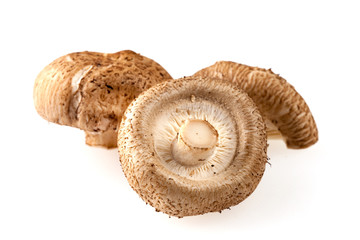 Fresh Shiitake mushrooms on white background