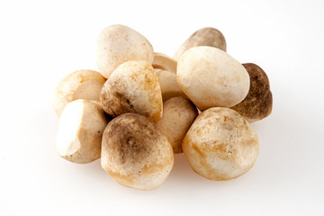 Fototapeta na wymiar straw mushroom on white background, organic mushrooms