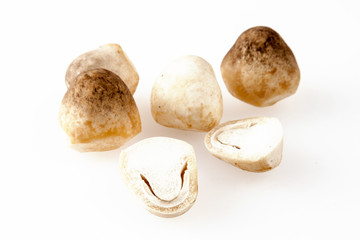 straw mushroom on white background, organic mushrooms