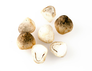 straw mushroom on white background, organic mushrooms