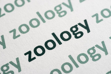 word zoology printed on paper macro