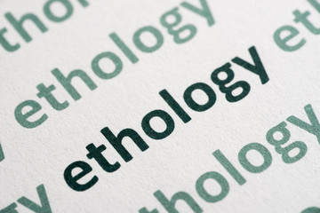 word ethology printed on paper macro