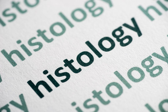 Word Histology Printed On Paper Macro