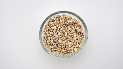 Job's Tears, also known as adlay and coix on white background. Popular in Asian cultures as a food source.