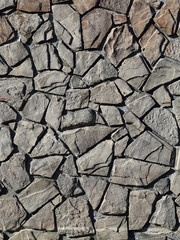 Close-up of Japanese Rampart