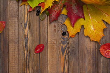 Naklejka na ściany i meble Autumn background of fallen leaves and berries on an old wooden table. The concept of thanksgiving