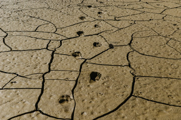 earth and man; life and sadness