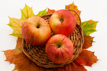 Red and yellow apples in a basket with autumn maple leaves. Isolated.