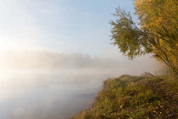 Naklejka na ściany i meble Morning autumn scenery on the bank of the river, wrapped in fog, through which the rays of the sun make their way.