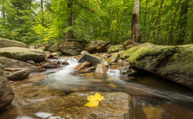 Ilsetal, Harz