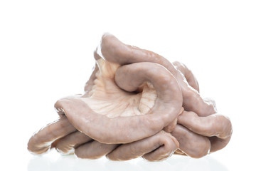 Part of pork small intestine or Chitterlings internal organs of pig