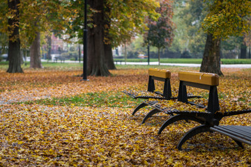 Park benches in the fall